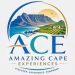 ace logoidea